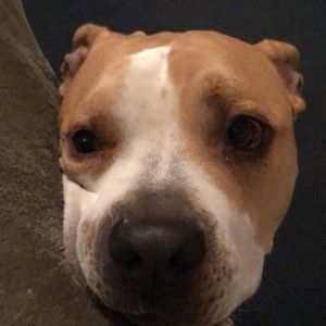 Meet your Posher, Bri